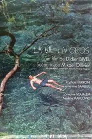 La vie en gros movie poster