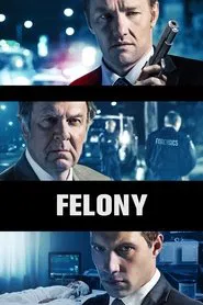 Felony movie poster