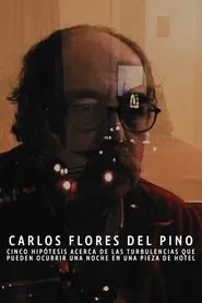 Cinco hipótesis acerca de las turbulencias que pueden ocurrir una noche en una pieza de hotel movie poster