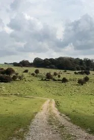 Journey to Avebury movie poster