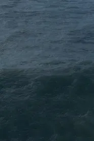 Twenty Nine Minutes at Sea movie poster
