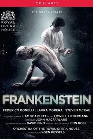 Frankenstein movie poster