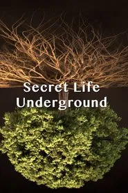 Secret Life Underground tv show poster