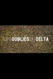 Les oubliés du Delta movie poster