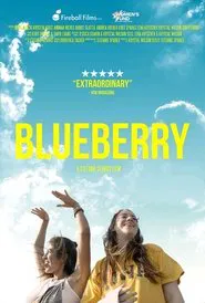 Blueberry movie poster