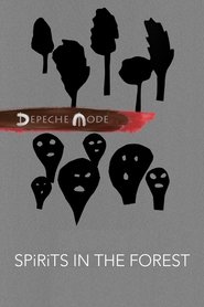 Spirits in the Forest movie poster