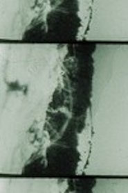 La montagne de lure movie poster