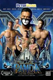 The Black Panda 2 movie poster