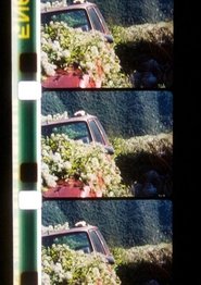 Poster do filme Envío 34