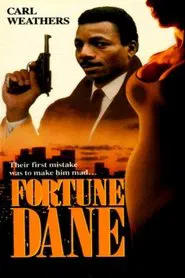 Poster do filme Fortune Dane
