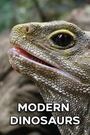 Modern Dinosaurs tv show poster