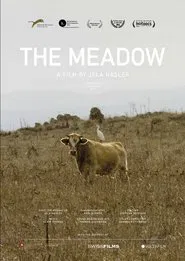 Poster do filme The Meadow