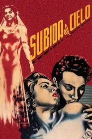 Mexican Bus Ride movie poster