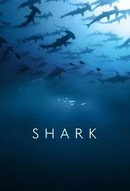 Shark movie poster