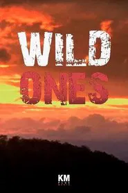 Wild Ones tv show poster