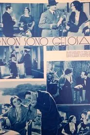Non son gelosa movie poster