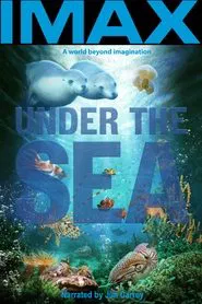 Poster do filme Um Mar de Aventuras