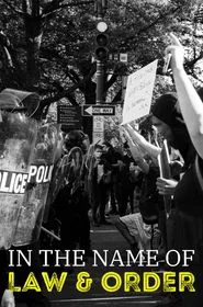 In the Name of Law and Order tv show poster