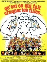 Qu'est-ce qui fait craquer les filles... movie poster