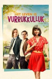 Poster do filme Life Is Wonderful