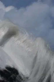 Maidenhair movie poster