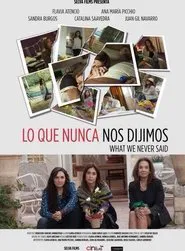 What We Never Said movie poster