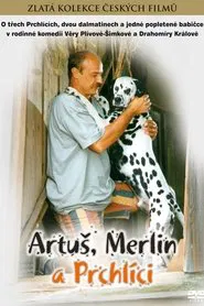Artuš, Merlin a Prchlíci movie poster