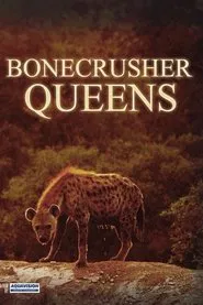 Poster do filme Bonecrusher Queens