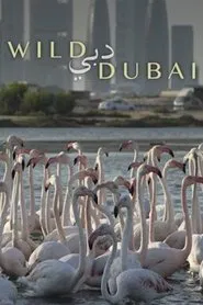 Poster do filme Wild Dubai