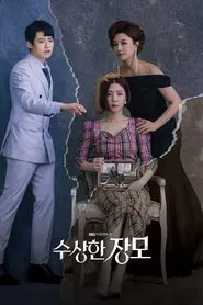 Shady Mom-in-Law tv show poster