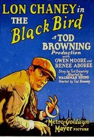 Poster do filme The Blackbird