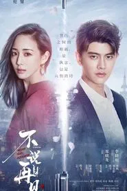 Never Say Goodbye tv show poster