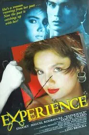 Experience movie poster
