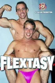 FLEXTASY movie poster