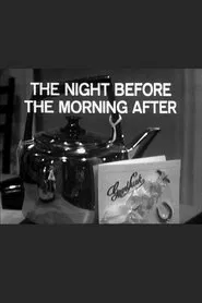 The Night Before The Morning After movie poster