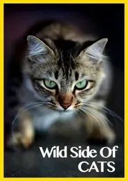 Wild Side of Cats movie poster