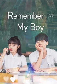 Remember My Boy tv show poster