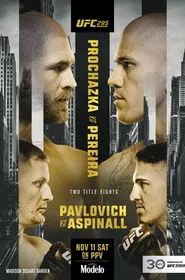 UFC 295: Prochazka vs. Pereira movie poster