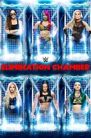 WWE Elimination Chamber 2020 movie poster