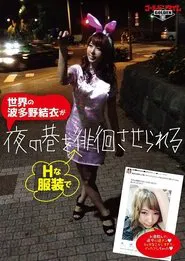 Poster da série 夜の巷を徘徊する