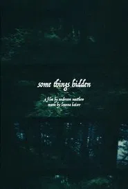 Some Things Hidden movie poster