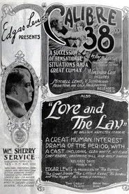 Poster do filme Love and the Law