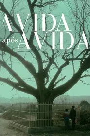 Poster do filme A Vida Após a Vida