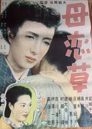 Poster do filme 母恋草