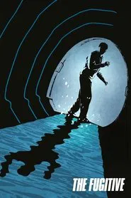 The Fugitive movie poster
