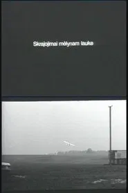 Flying Over the Blue Fields movie poster