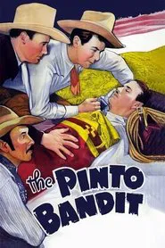 The Pinto Bandit movie poster
