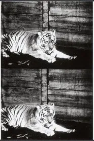 Poster do filme Beasts of the Jungle