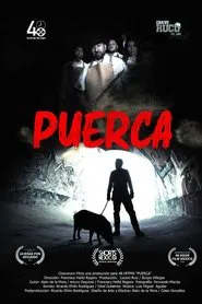 Puerca movie poster
