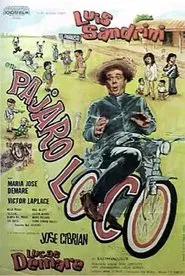 Pájaro loco movie poster